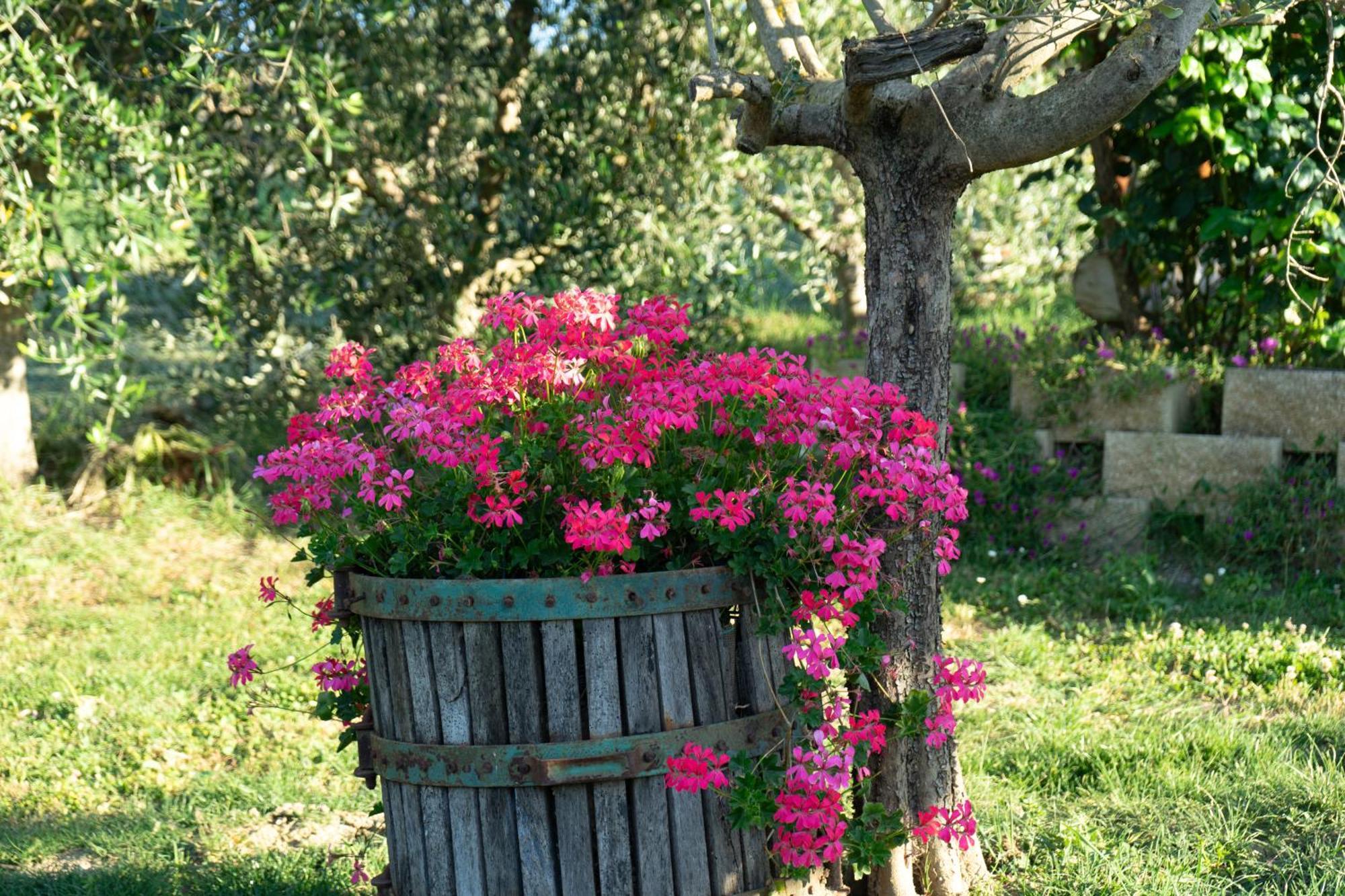 Relaxing Farmhouse San Marino Exterior photo